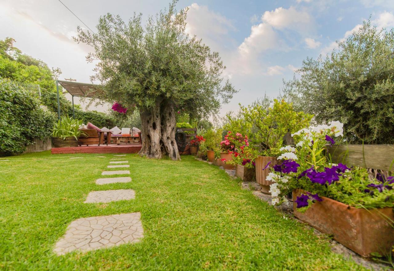 Appartement Alesti House With Garden And Private Access